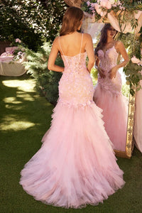 Lowry Prom Dress Lace & Tulle Mermaid Gown 6201327TXK-Blush