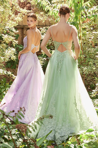 Audrina Lace Top Tulle Ballgown Prom Dress 6201125HIR-SageGreen